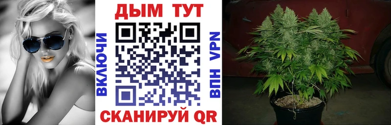 магазин  наркотиков  МЕГА как войти  МАРИХУАНА White Widow  мориарти наркотические препараты  Пудож 